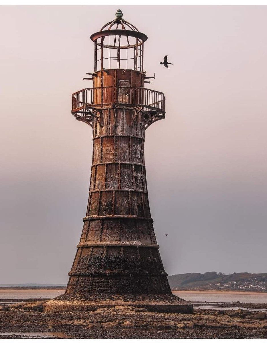 ★·.·´ 𝙎𝙖𝙧𝙡𝙞 `·.·★ tweet media