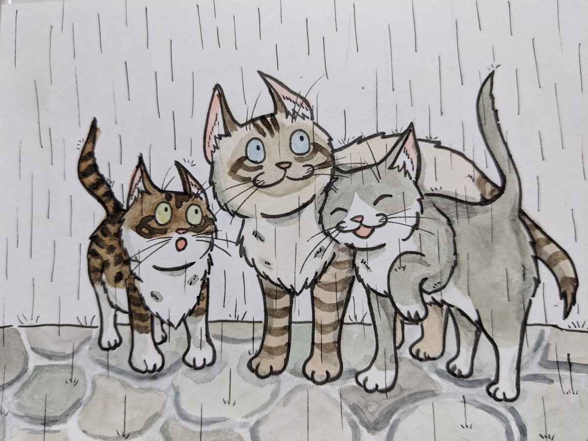 Diet is cancellation.☔ Happy #Caturday !🎶 ＃pasericat