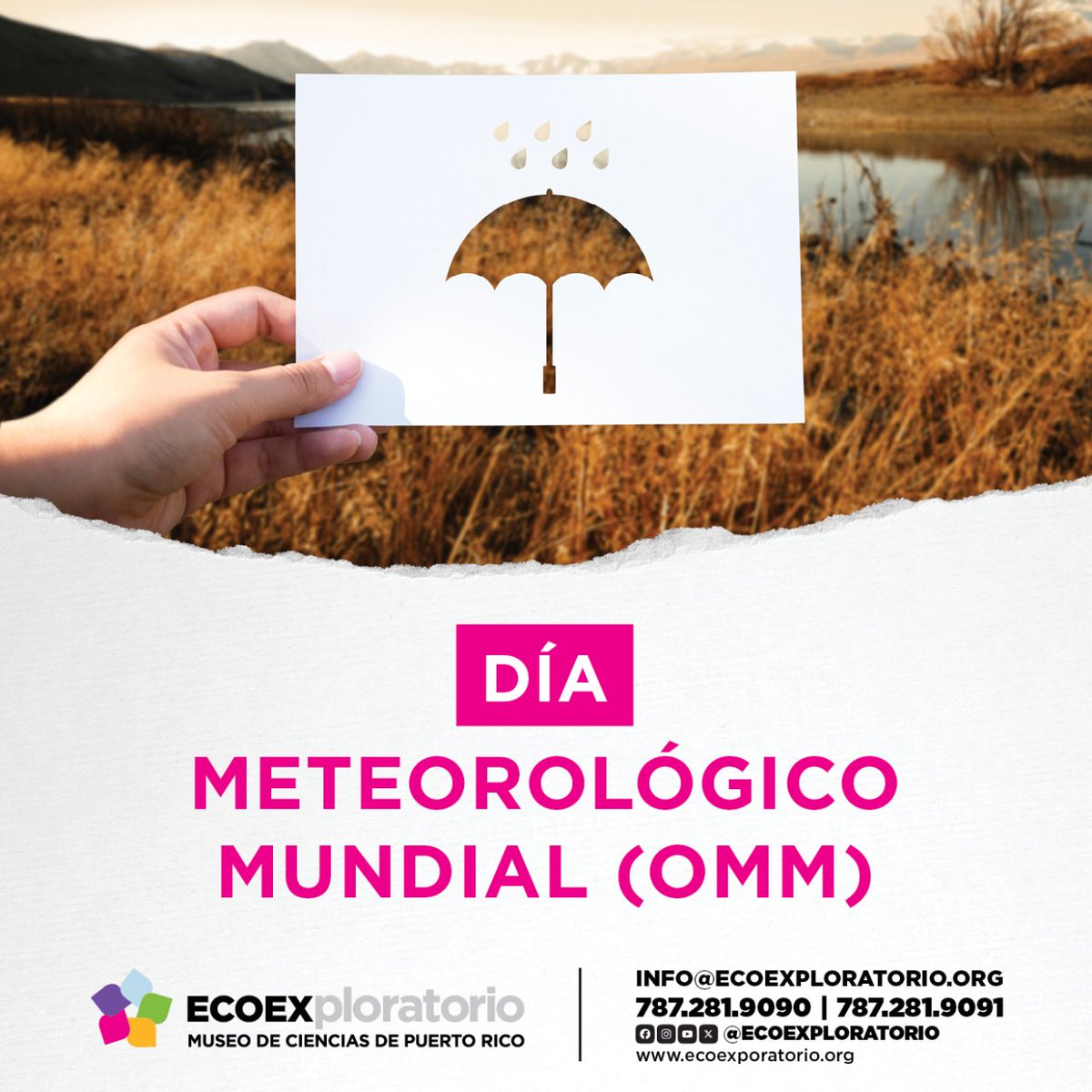 Hoy celebramos el #DíaMundialMeteorológico, un recordatorio de la importancia de comprender y respetar la naturaleza a través de la meteorología. ¡Cuidemos nuestro planeta y aprendamos a convivir en armonía con el clima que nos rodea! ☀️🌧️⛈️