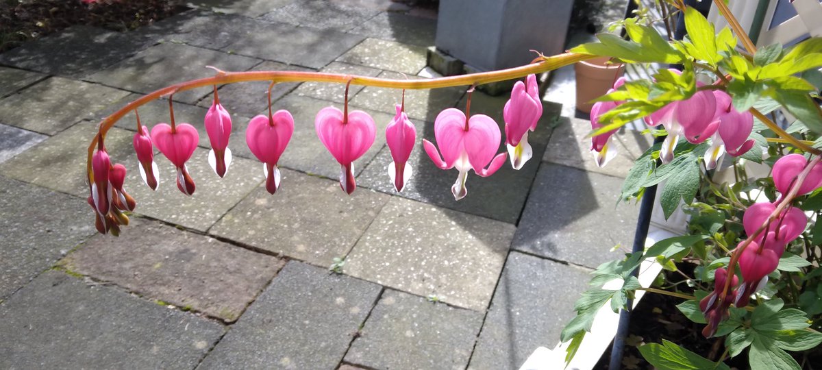 #gefühlteMomente  ♥