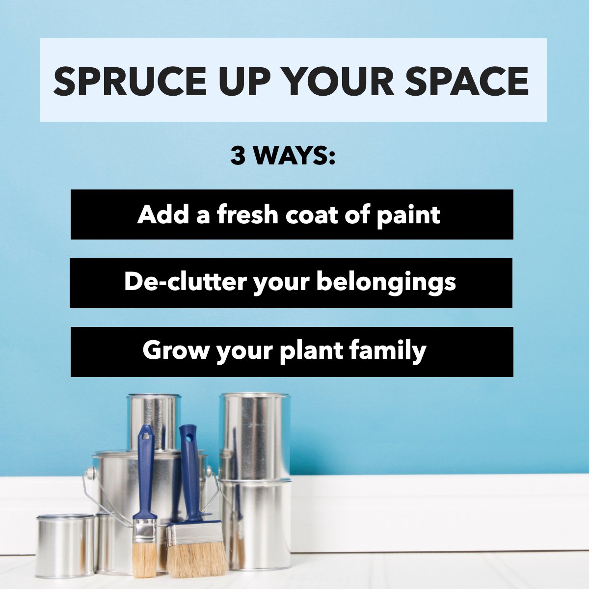 Find out 3 ways to give a fresh look to your spaces. 

#spruceupyourspace #spruceupyourhome #spruceuptheplace #freshpaint
 #shared