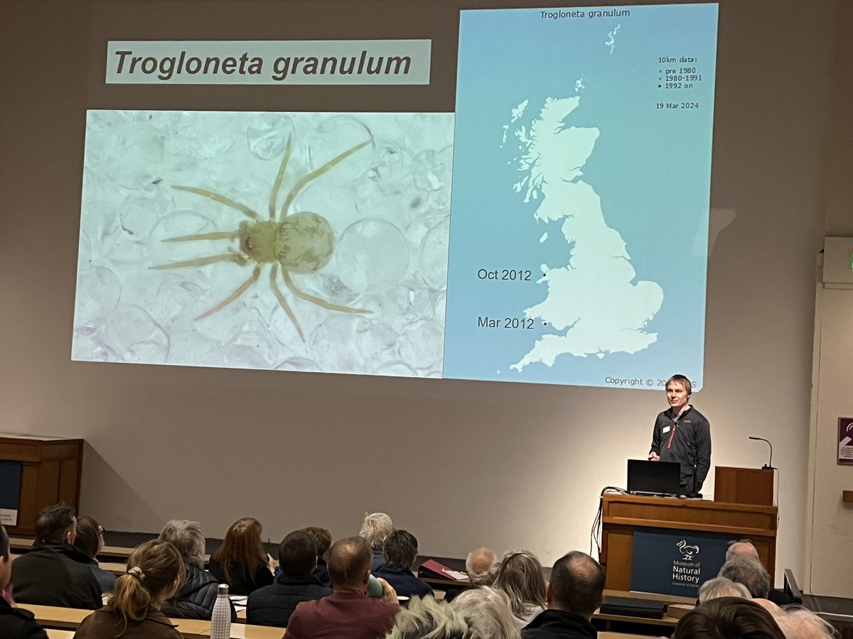 Richard Gallon @BritishSpiders: Spider & Harvestman recording scheme has 1.3 million records to date & keep them coming please! Some spider species are adapting to changing habitats, whilst other species are restricted to very localised specialist habitats srs.britishspiders.org.uk/portal.php