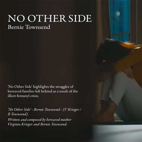 VERSE 1 - LINES 5 and 6 : 'Fentanyl killed more Americans in a year than Vietnam did in ten - The government looks away so it happens again and again'' - 'Strangers In Their Own Land' (Bernie Townsend) - Please view my video 'NO OTHER SIDE' - (Bernie Townsend) in support of