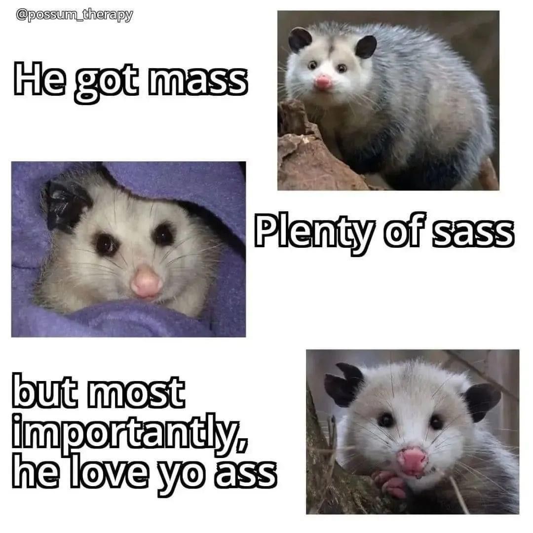 Snaggletooth Screamer (@deathposs) on Twitter photo 