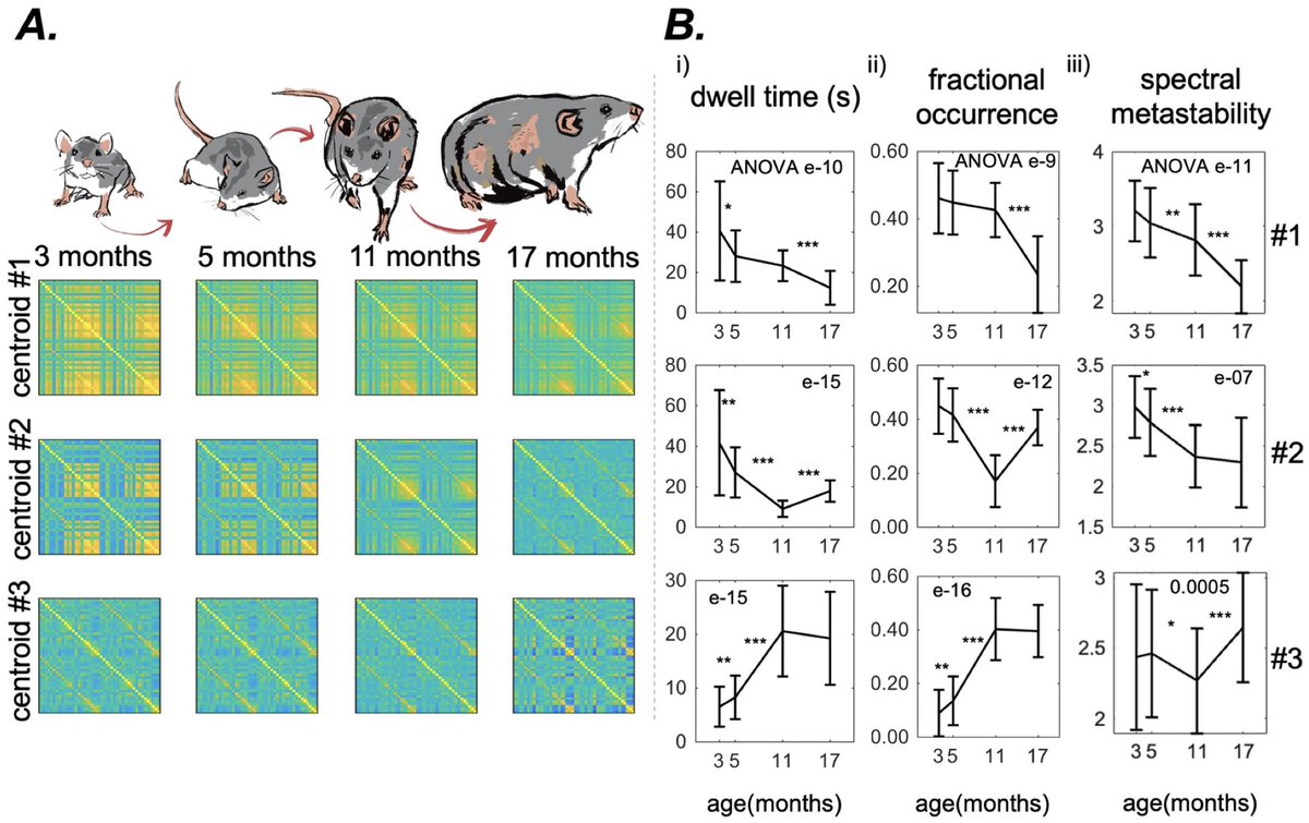 New paper in Imaging Neuroscience by Giuseppe de Alteriis, Federico E. Turkheimer, et al:

EiDA: A lossless approach for dynamic functional connectivity; application to fMRI data of a model of ageing

doi.org/10.1162/imag_a…