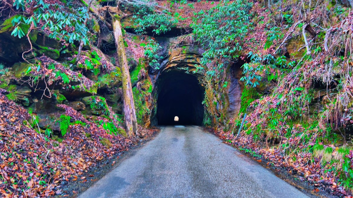 STEMLabOnTheGo's tweet photo. Good morning, from the Red River Gorge, in #Kentucky. #ExploreKY #NadaTunnel #RedRiverGorge https://t.co/SyKO2EDnhM
