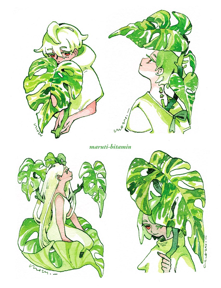 Monstera