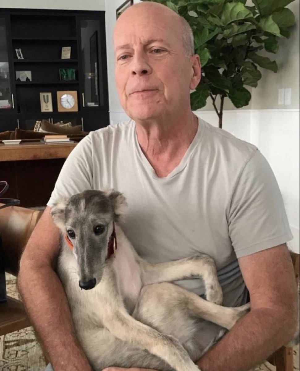 Multiverso tweet media