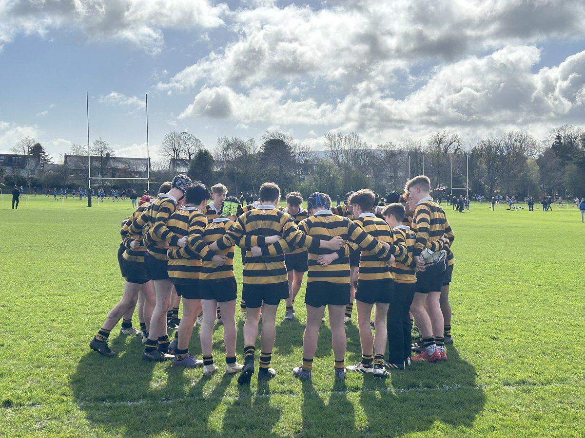 RBAI Rugby (@rbai_rugby) on Twitter photo Terenure U15 Festival
Congratulations to our U14 who competed in the Terenure Festival across two days in Dublin, winning the Trophy competition.
Thanks to <a href="/TerenureSport/">Terenure College Sport</a> for a brilliant weekend of rugby.
#Inst Terenure U15 Festival
Congratulations to our U14 who competed in the Terenure Festival across two days in Dublin, winning the Trophy competition.
Thanks to <a href="/TerenureSport/">Terenure College Sport</a> for a brilliant weekend of rugby.
#Inst