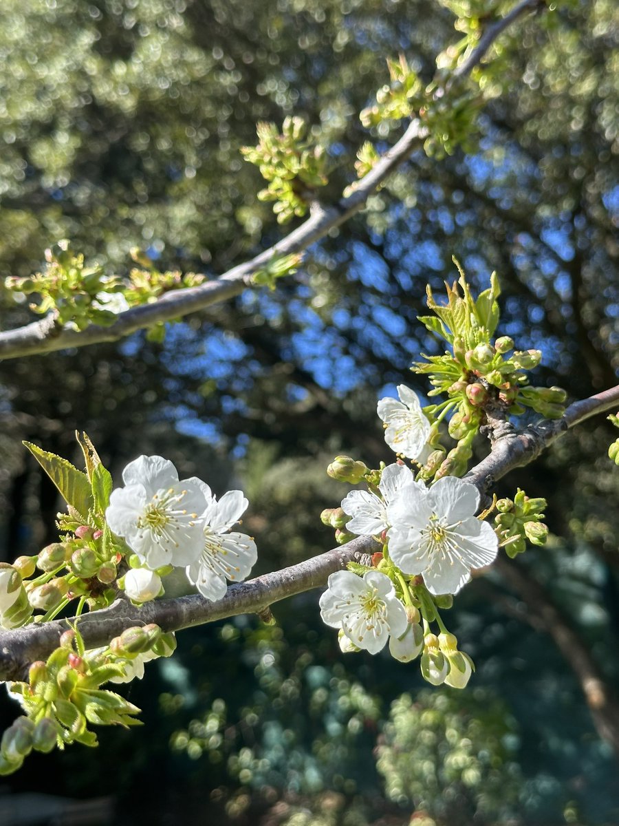 Béatrice .34-2B tweet media