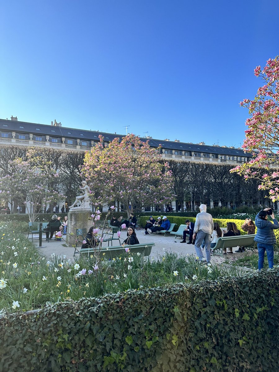 AnOjiro's tweet photo. フランスのコニャック地方で開催されたコニャック国際コンクールで1位をいただき、来年開催予定の音楽祭やリサイタルに出演できることになりました🇫🇷留学2年目となり、フランスでの演奏機会も徐々に増え、喜びを感じています🌸引き続き精進します！ https://t.co/RASTwZ7xZx