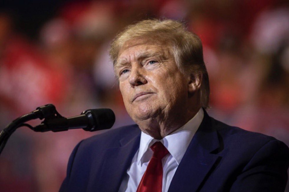 BREAKING: President Donald Trump says, he will pass a constitutional amendment for Term Limits for all members of Congress. Do you support this? Yes or No