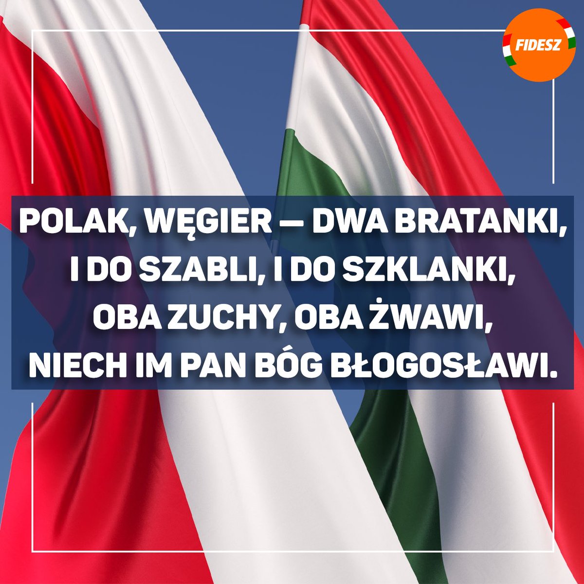 🇵🇱🤝🇭🇺 Long live the Polish-Hungarian friendship! 🇵🇱🤝🇭🇺 Niech żyje przyjaźń polsko-węgierska! #Poland #Hungary