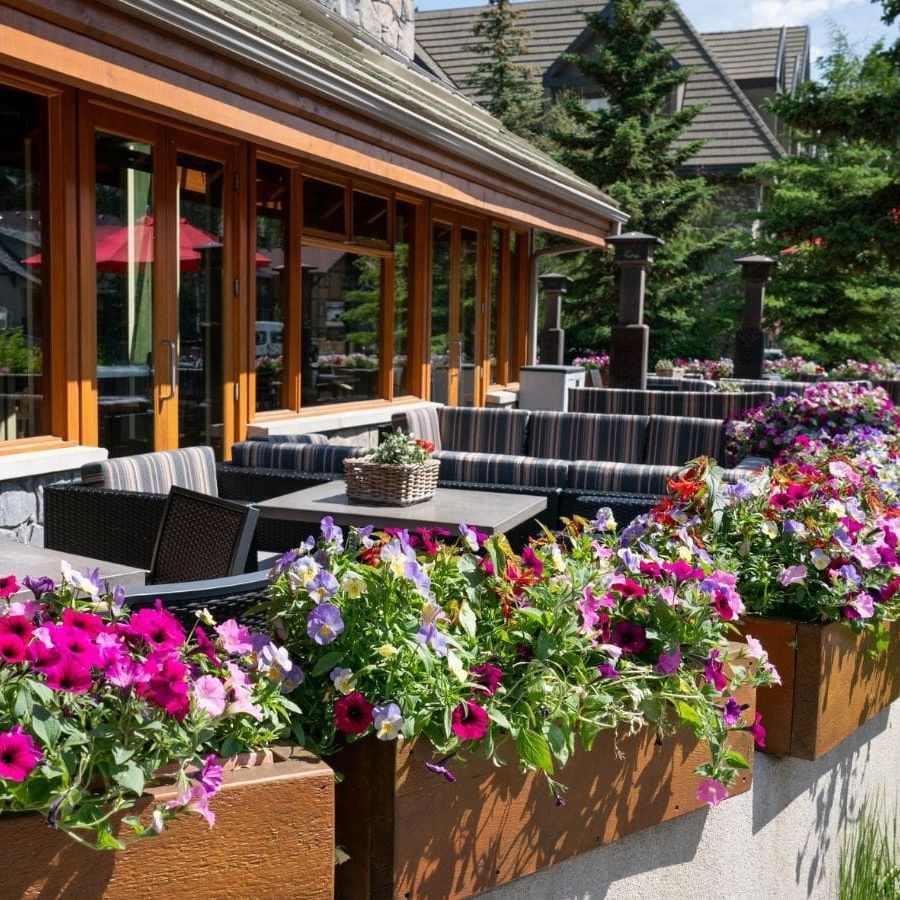 Spring sure is spring-ing at Fox Hotel & Suites in Banff🌸🌼Located near Banff National Park as well as local shopping and dining, Fox Hotel & Suites is an absolutely PERFECT spring getaway for those in need of a refresh: gaytravel.com/gay-friendly-h… #gaytravel