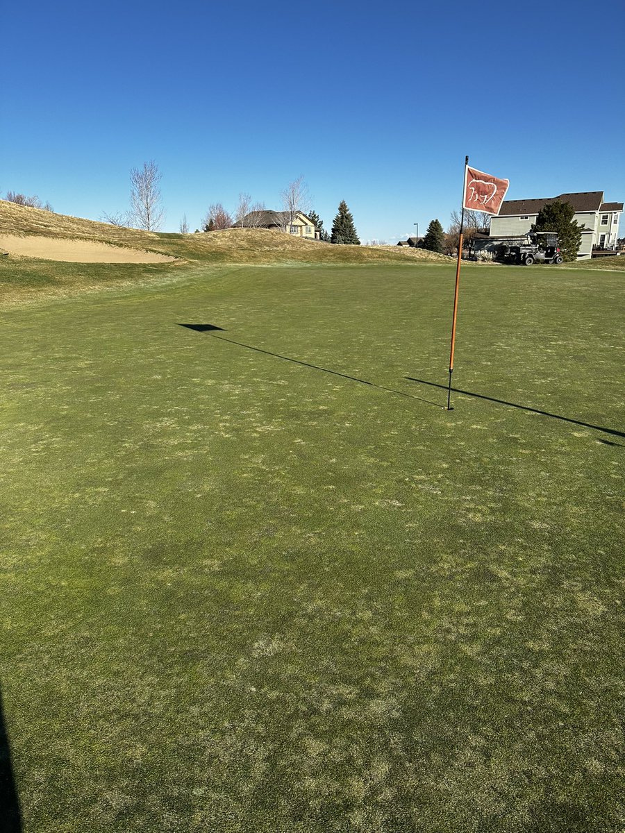 Colton Donahue tweet media