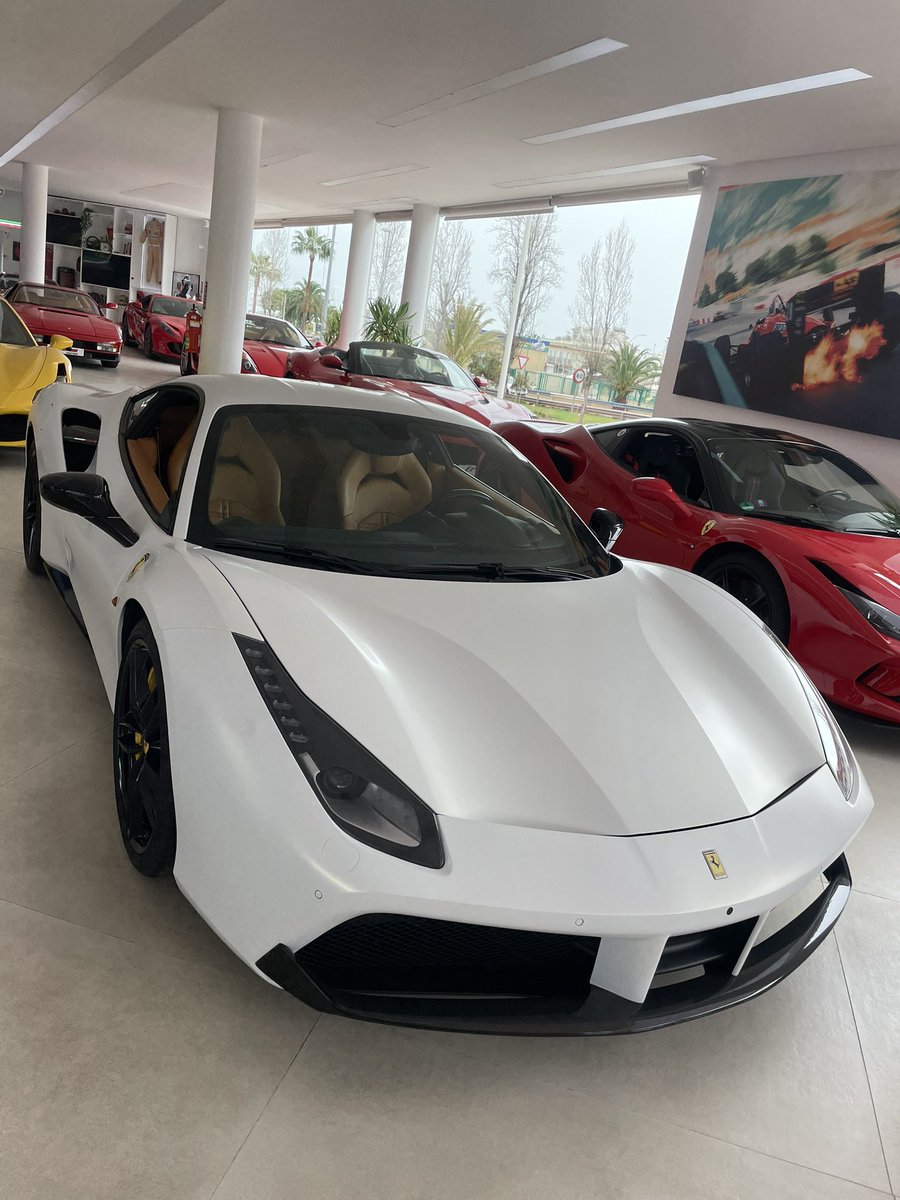 Peter Breuer tweet media