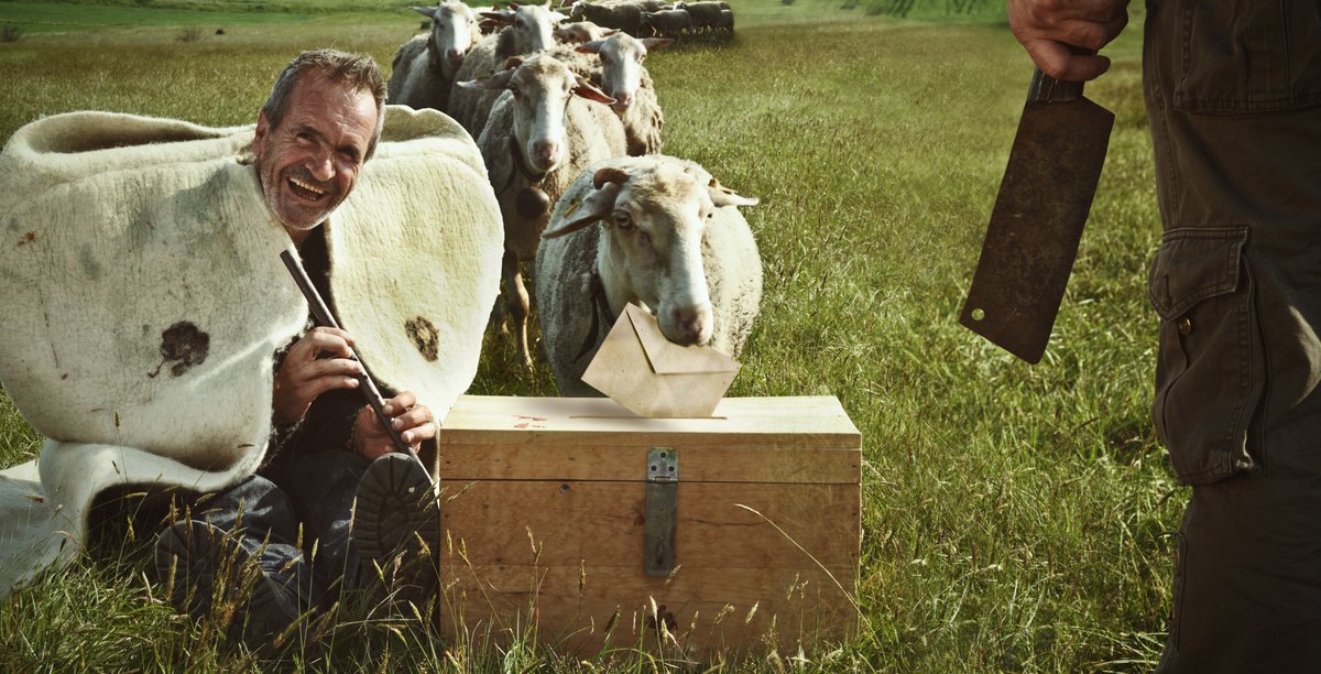 Ufuk KIRAY tweet media