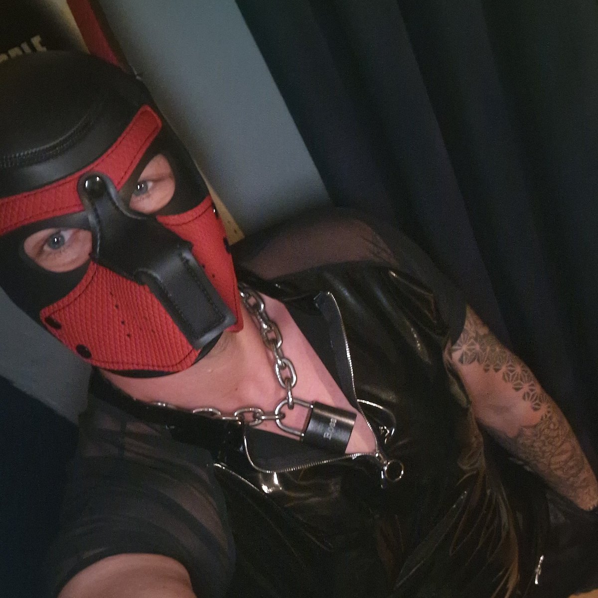 AlphaPupBane's tweet photo. Happy international pup day to all the pups, Alphas and subs
#pupday #pupday24 #alphapup #PupBane https://t.co/XaJKVW0MjZ