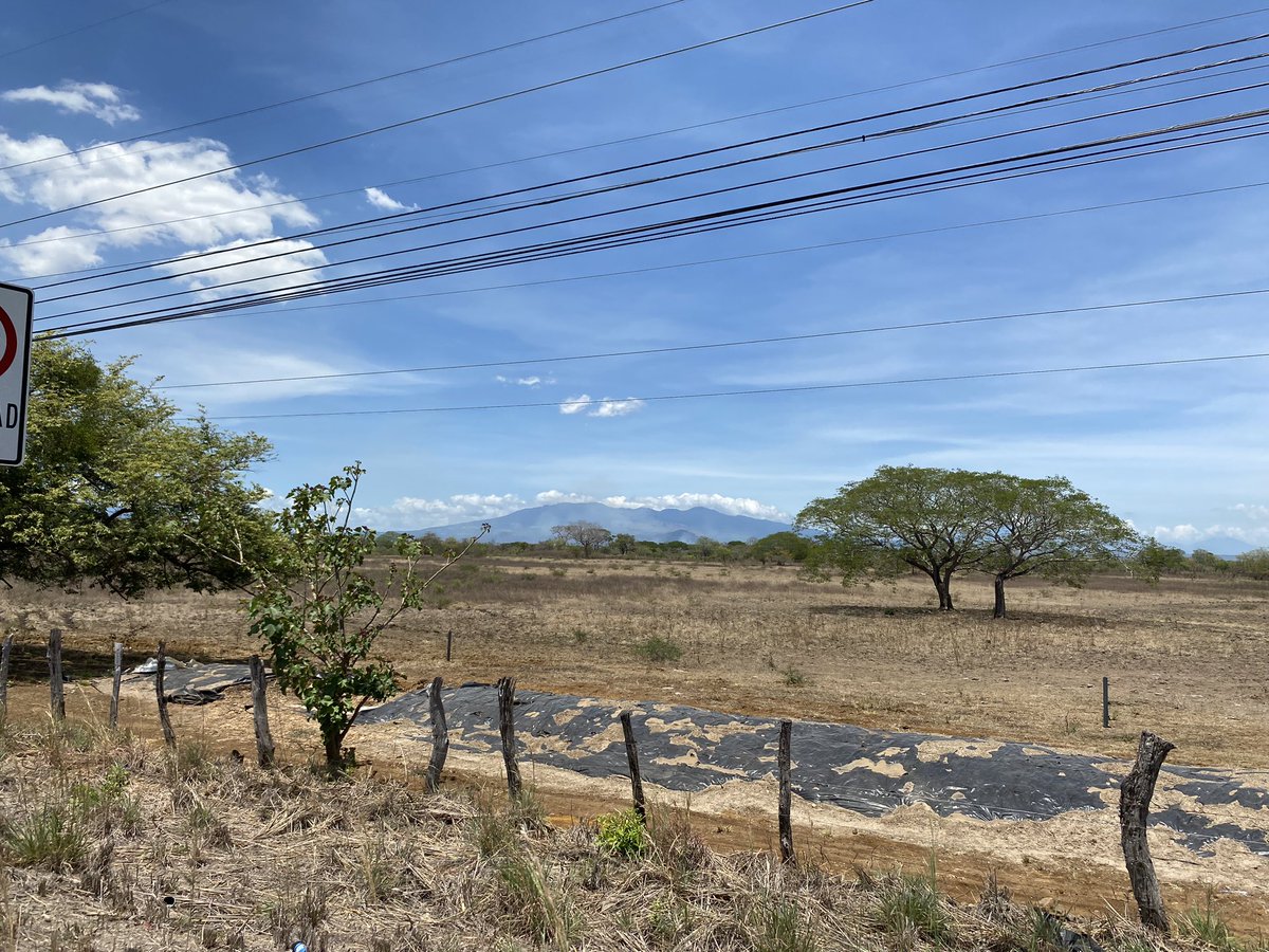 LeeAnne_E's tweet photo. April is typically the hottest month in Guancaste, CR, so don’t be afraid to travel in the lower seasons. Often better rates. #playasdelcoco #guanacaste #costarica #puravida #greenseason #lowseason #airbnb #rental #beach #mountains #jungle #explore https://t.co/LZzVTIODb2 https://t.co/P3ZhctDXas