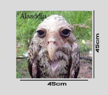 Aries 🌙 tweet media