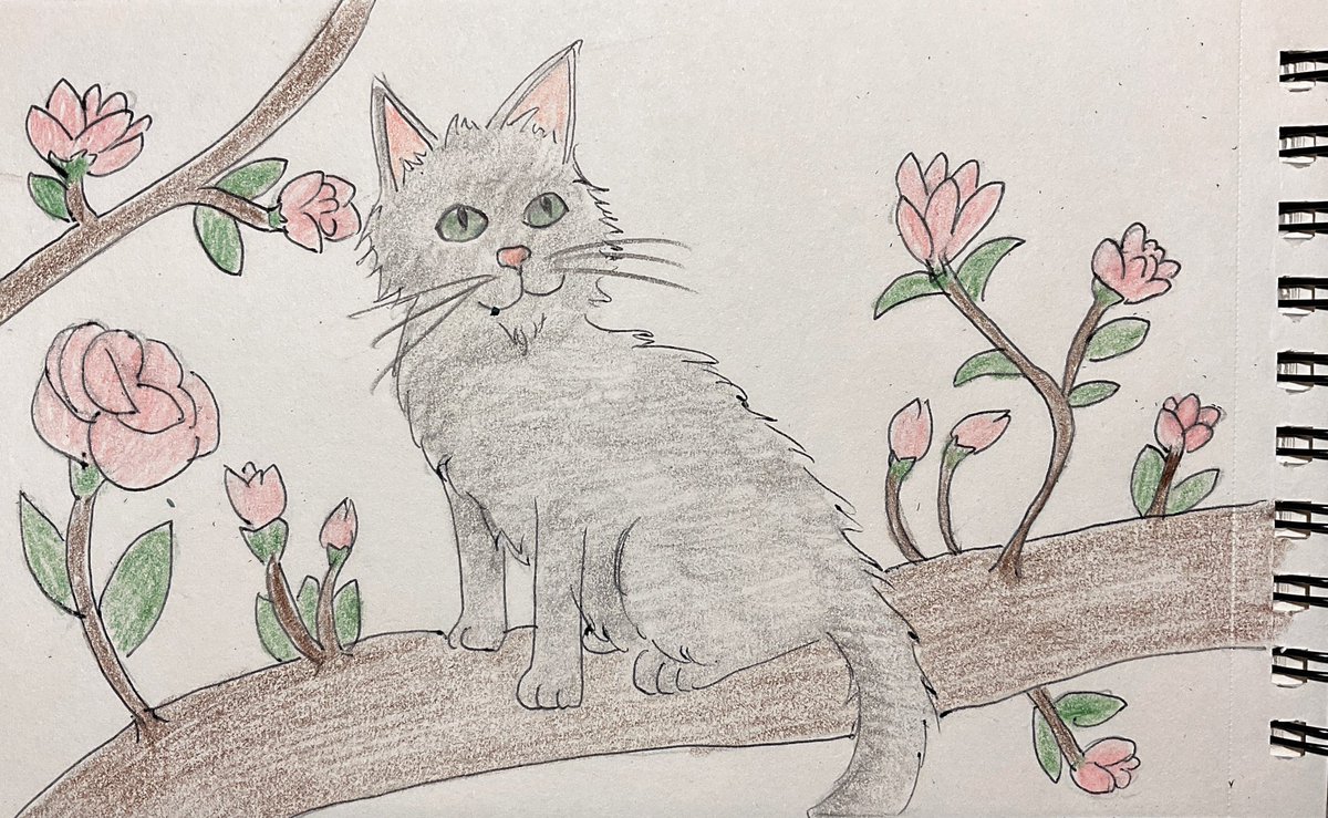 hermioink's tweet photo. #Inktober52Spring
#Inktober52
#Inktober 
#Spring
#animals
#Drawings
#Hermio 
#cats https://t.co/fHkfiZKKcR