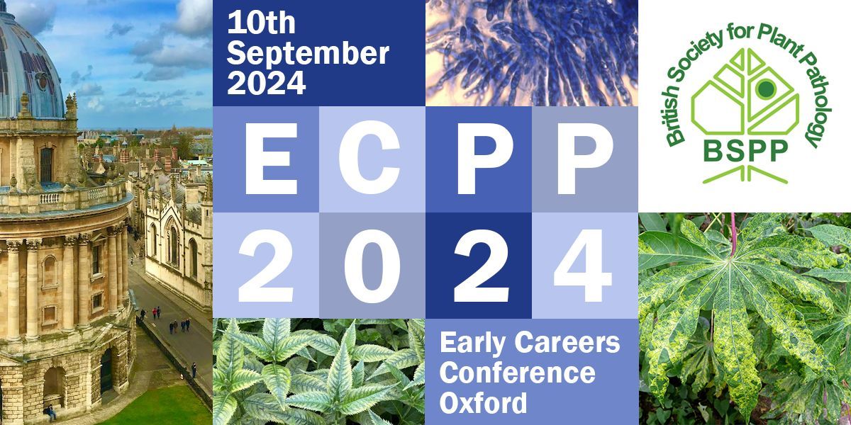 Are you a postgraduate student, postdoc, or early career researcher in plant pathology? #ECPP2024 is your chance to present talks or posters and connect with peers in the field! Register now for this exciting opportunity before May 1st! plantpathology.org.uk