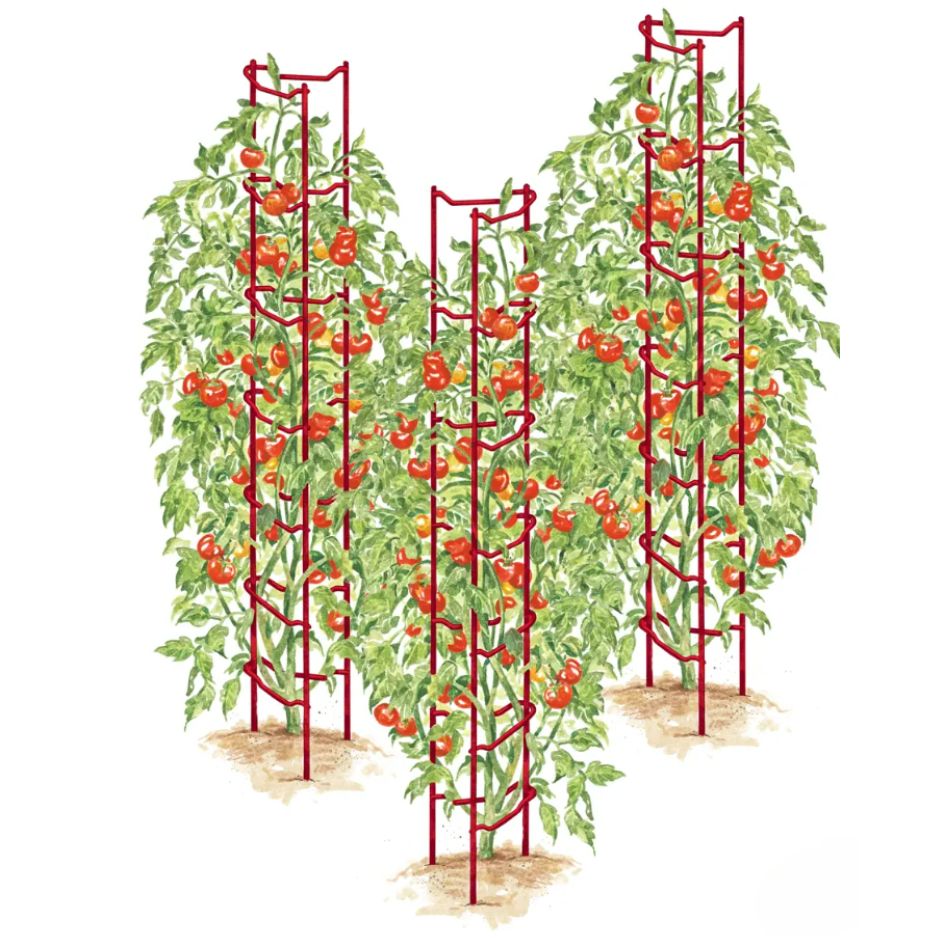 If you're tired of dealing with flimsy tomato cages like I was, these heavy-duty tomato supports changed my life! They hold over 100 lbs in their patented 'plant cradle'. #gardening #homesteadingtips KimLikes.com/TomatoLadders