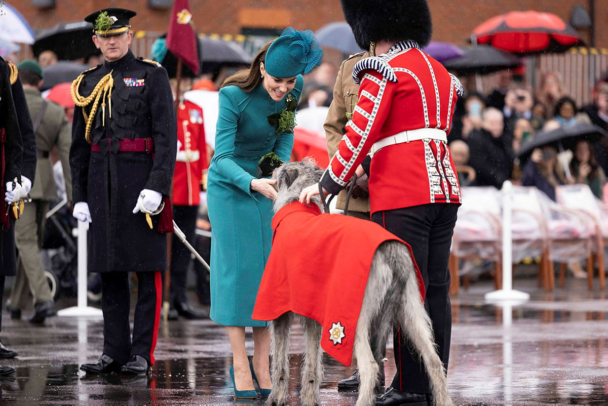 The Irish Guards is thinking of our Regimental Colonel Her Royal Highness Princess Catherine of Wales at this time. We wish her the very best recovery, and all thoughts and prayers are with her and her family, as well as the wider Royal family. Quis Separabit #IrishGuards☘️💂🏻‍♀️