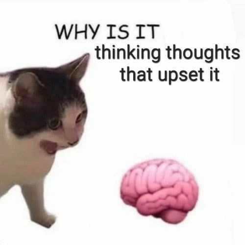 PunchingCat's tweet photo. https://t.co/JDbjwDSCvm