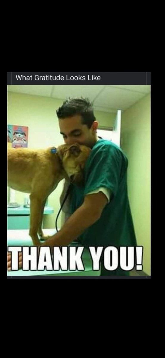 RobinDoctor's tweet image. HERE'S  WHAT  GRATITUDE  LOOKS  LIKE !!!