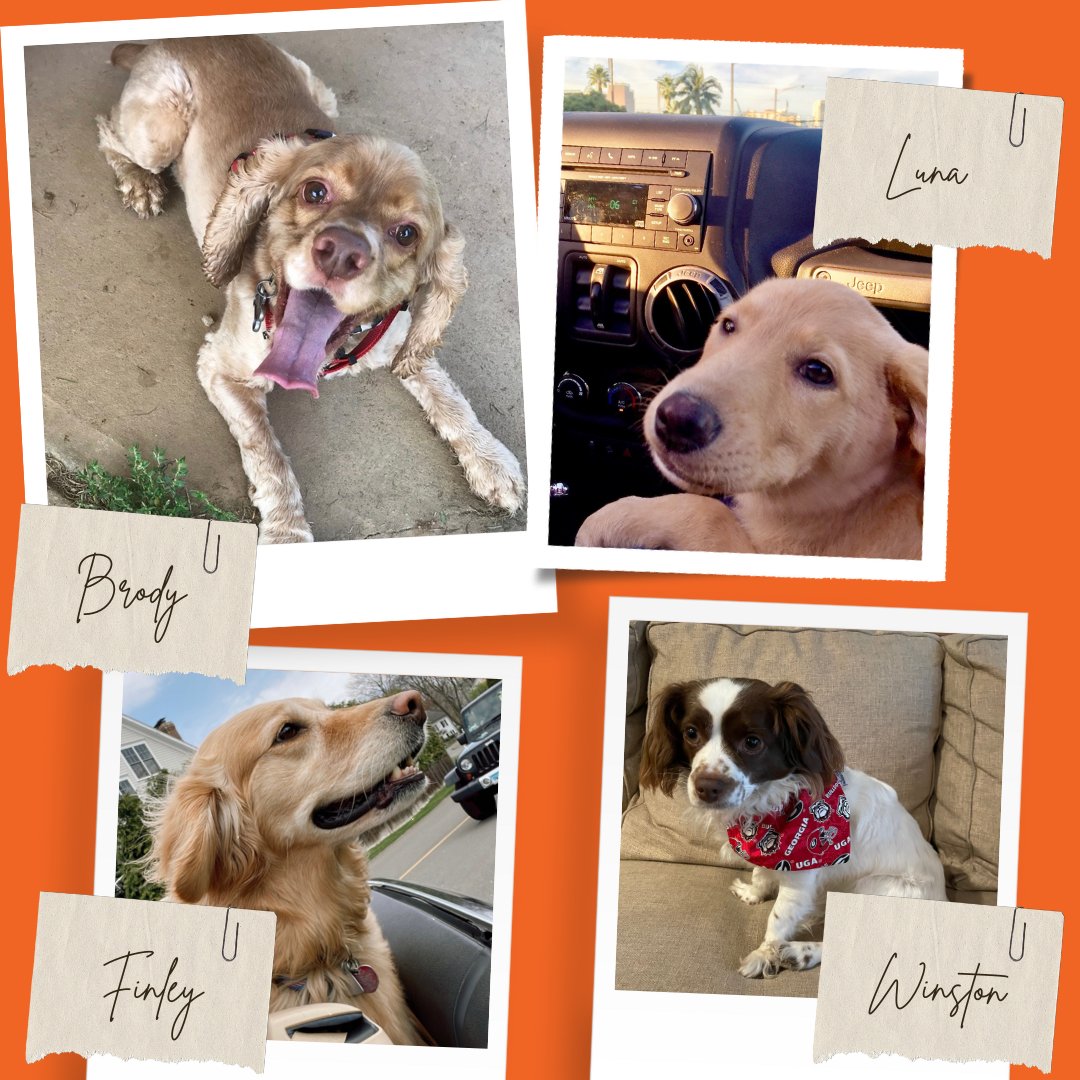 Hemsworth PR tweet media