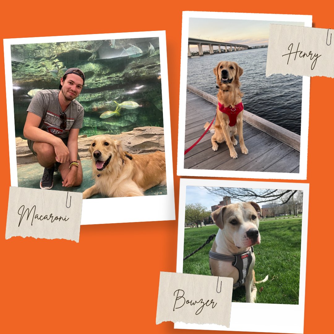 Hemsworth PR tweet media