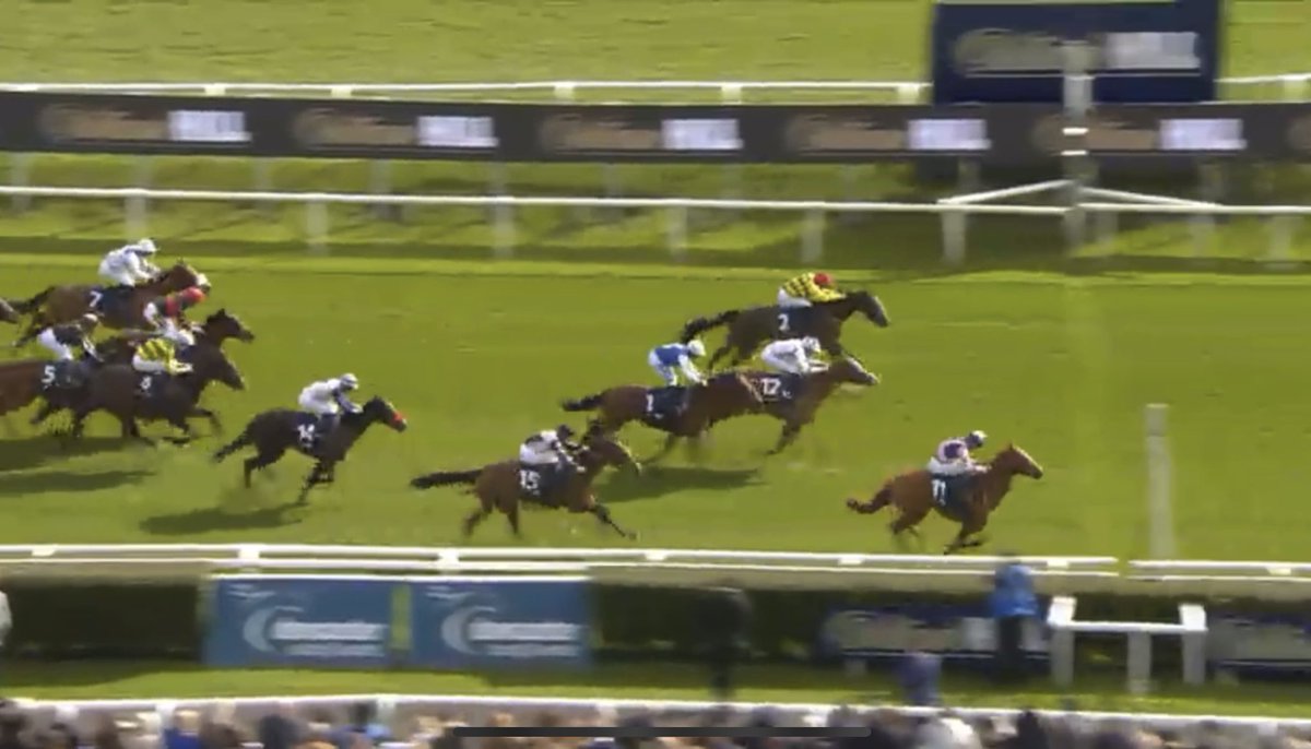 Farwestfarm's tweet image. WINNER!!! Homebred colt “Zminiature” takes the Brocklesby Stakes at Doncaster Racecourse for Dylan Cunha and great clients and friends of the farm the Sarkar Family. Jamie Lloyd bought the dam “Zmile” in foal to Territories and he was born, raised and broken in here at the farm!