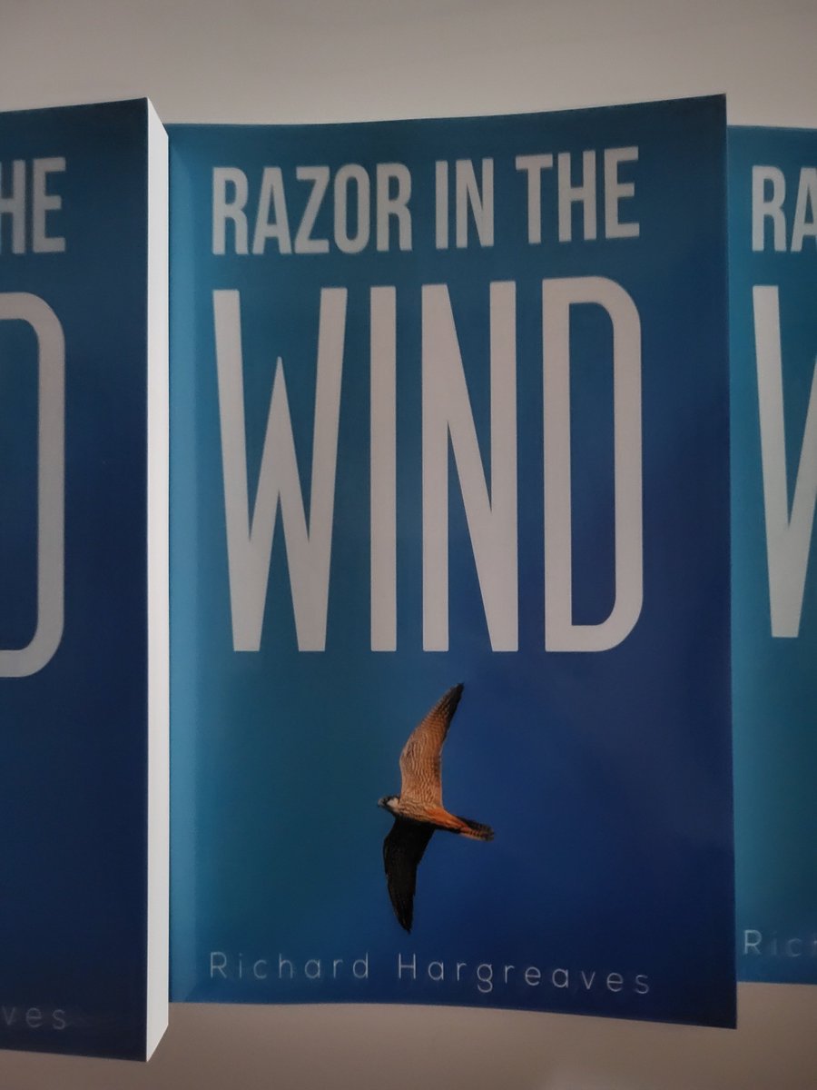 As it's almost time for the Hobbies' return to these shores, it's time for a BOOK GIVEAWAY! To be entered for a chance to receive a free copy of RAZOR IN THE WIND, simply like & retweet this. (See my pinned tweet, too)