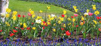 shyamvaran's tweet photo. #Spring has sprung! 📷 Time to shed the winter blues and embrace new beginnings. 
What are you excited to bloom into this season?
#SpringMotivation @MDMGeek @jadp @heather_noggle @EvanKirstel https://t.co/pHktMZYunW