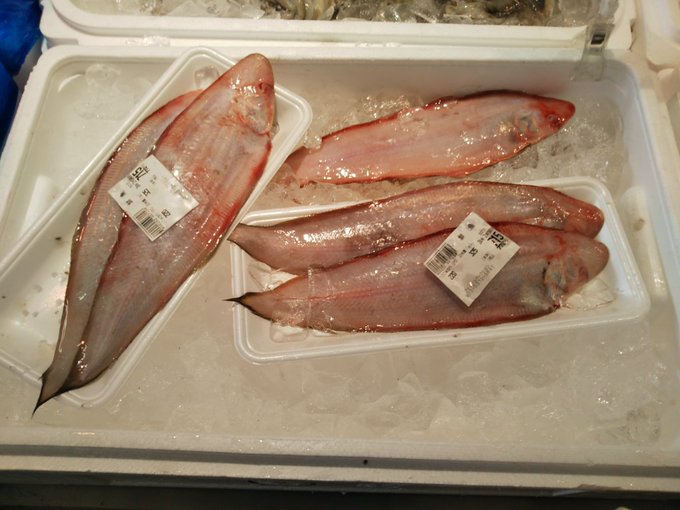 舌平目っておいしいのかな?>RT
ザ・シェフとかによく出てきたよねw😋 