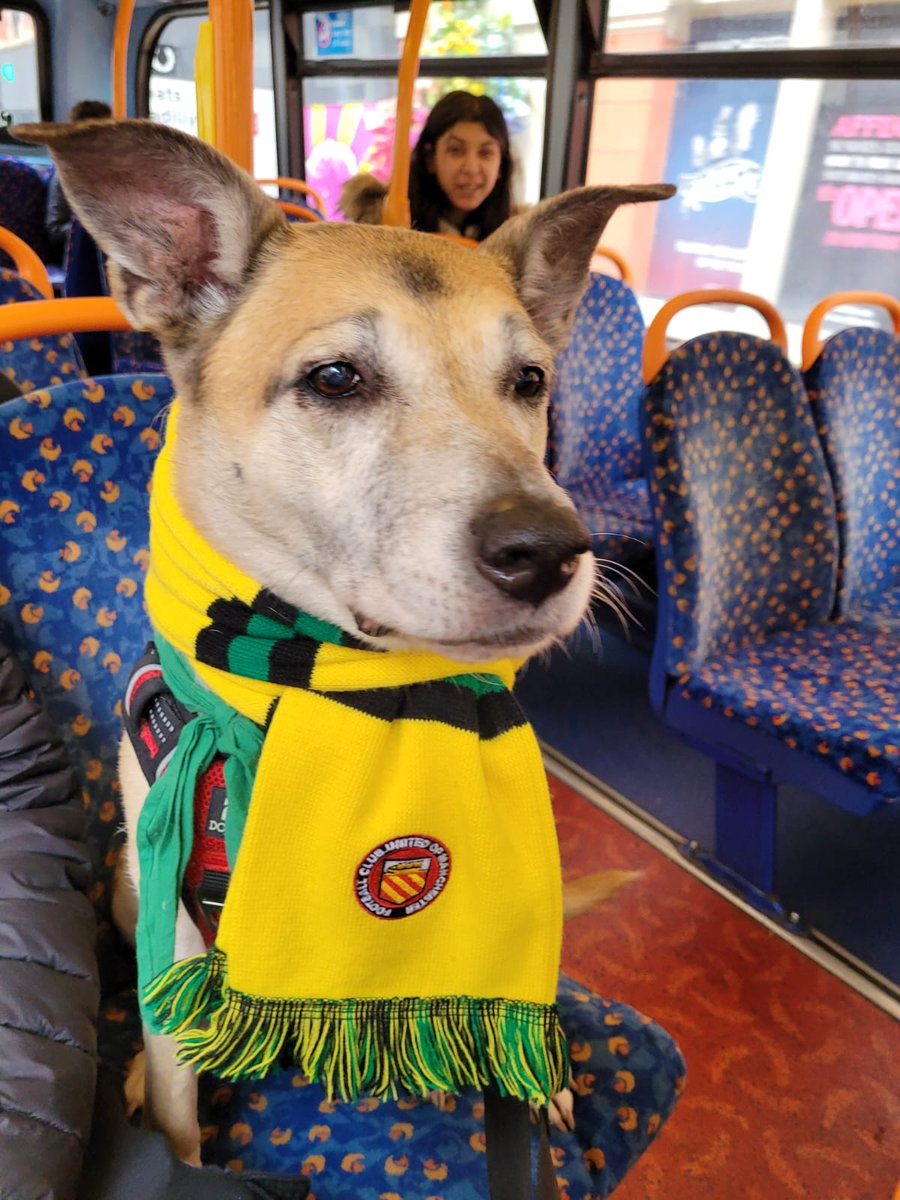 CommitteeFCUM's tweet image. G'wan Kes 

#FCUM @nonleaguedogs