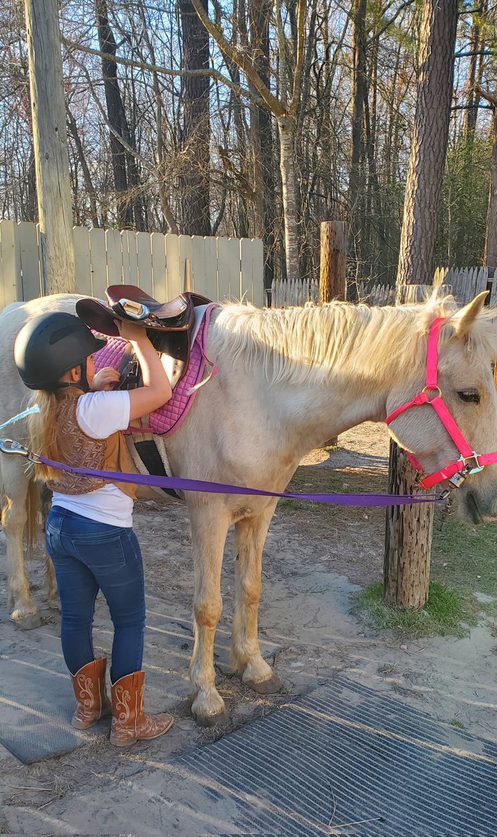 Here's to the girl who spends her days after school studying hippology and trains with 4 different animals at 3 farms. Dedication and perseverance. I see you. #4h #baysideriseup #learnbydoing