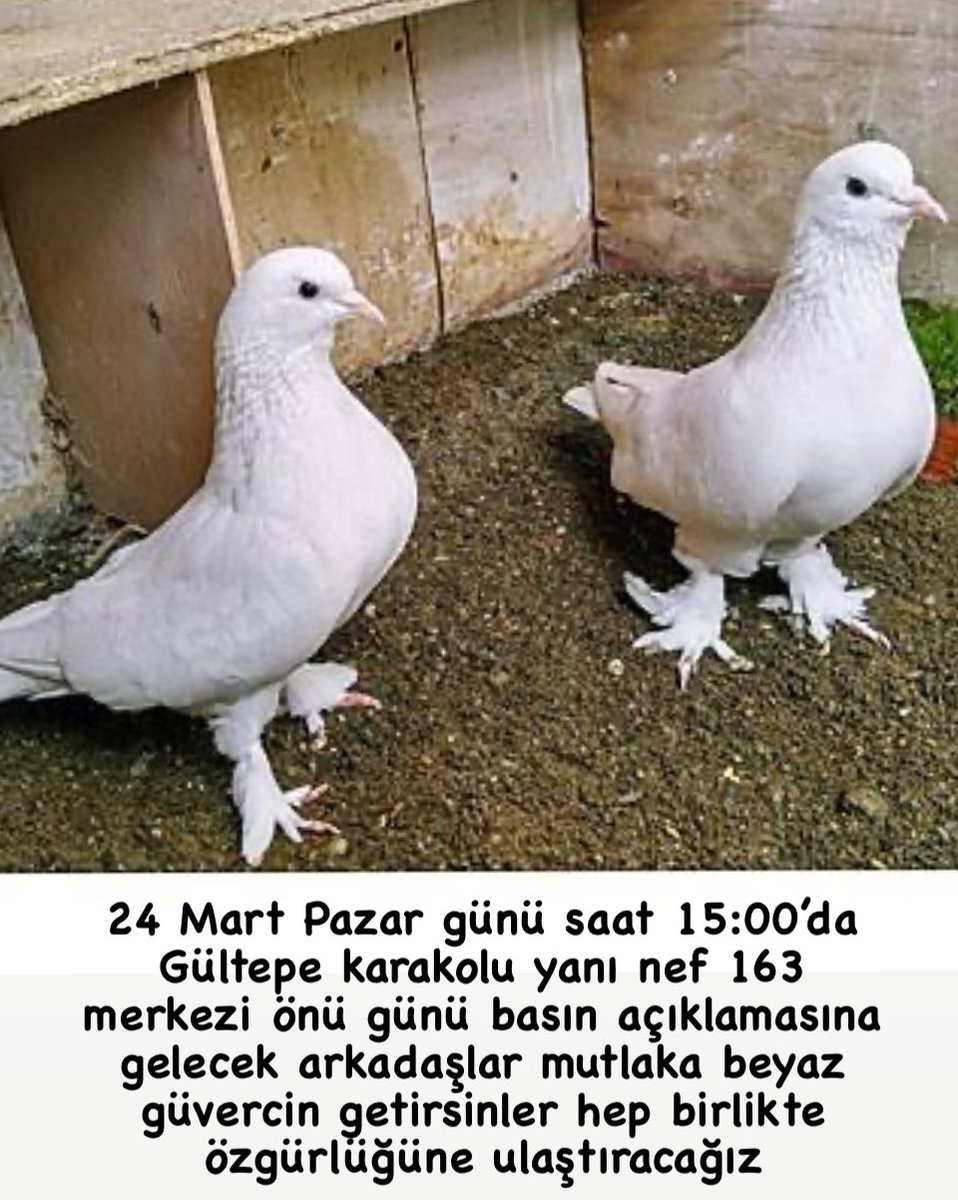 kendilerini özgür basın olarak nitelendiren hiç kimse gelmiyor. Gelenler ise çekim yaptığı zaman yayınlamıyor. Birkaç medya dışında bu konuya değinen hiç kimse yok. Ne zaman ki bir gazeteci siyasetçi cezaevine girse o zaman adaletsizlik söz konusu oluyor.

 #AdilYaşamAFÇağrısı