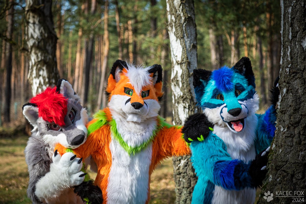 Tzyko Kaczmarek / Zło tweet media