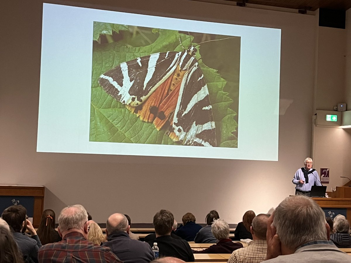 “Fashionable ladies (18th century) tended to rear beautiful butterflies in their conservatories, whereas the gentlemen tended to stick pins in them.” Peter Marren on the naming of insects @BritEntSoc Members Day in @morethanadodo