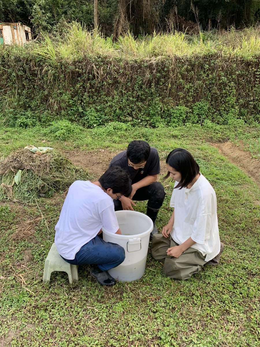 BrightBirdBio's tweet image. 灑配方

因為心情和狀態問題，其實這塊田已經有大半年沒有灑配方，所以一直都覺得自己做得不夠，可惜之前實在沒有心力和精神去安排時間去灑配方。

上天突然安排這班同學來田學習 biodynamic ，沒有他們的出現，其實我也沒法 100% 地務農，做這個上天給予我的天賦和責任。…

brightbirdbio.com/?p=3442