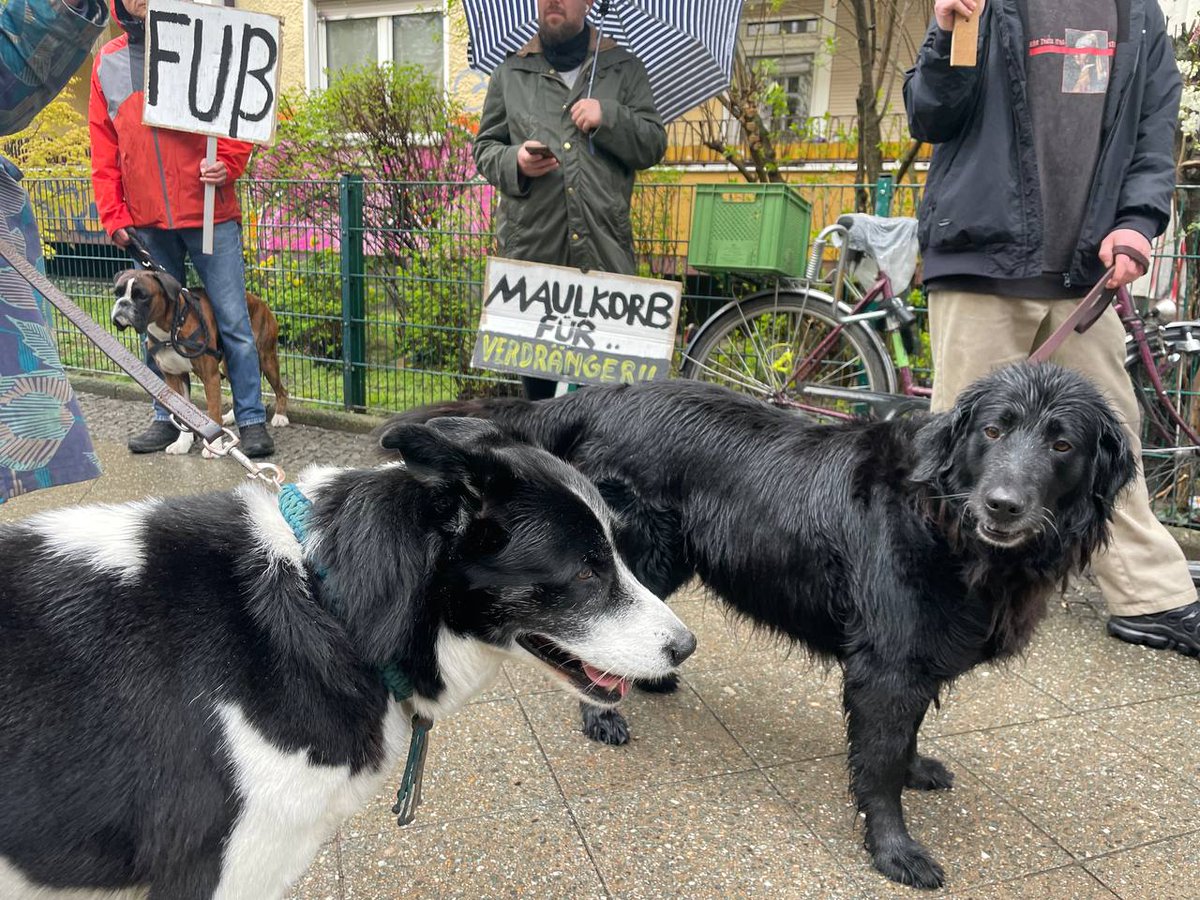 Wir drehen gerade die erste widerständige Hunderunde im Wrangelkiez: Gassi für Gewerbemieterschutz - gegen die Verdrängung vom Tierfutterladen #Hundekuss36, für lebendige und vielfältige und bezahlbare Kieze! Verdränger? Aus! Nicht euer Casino!