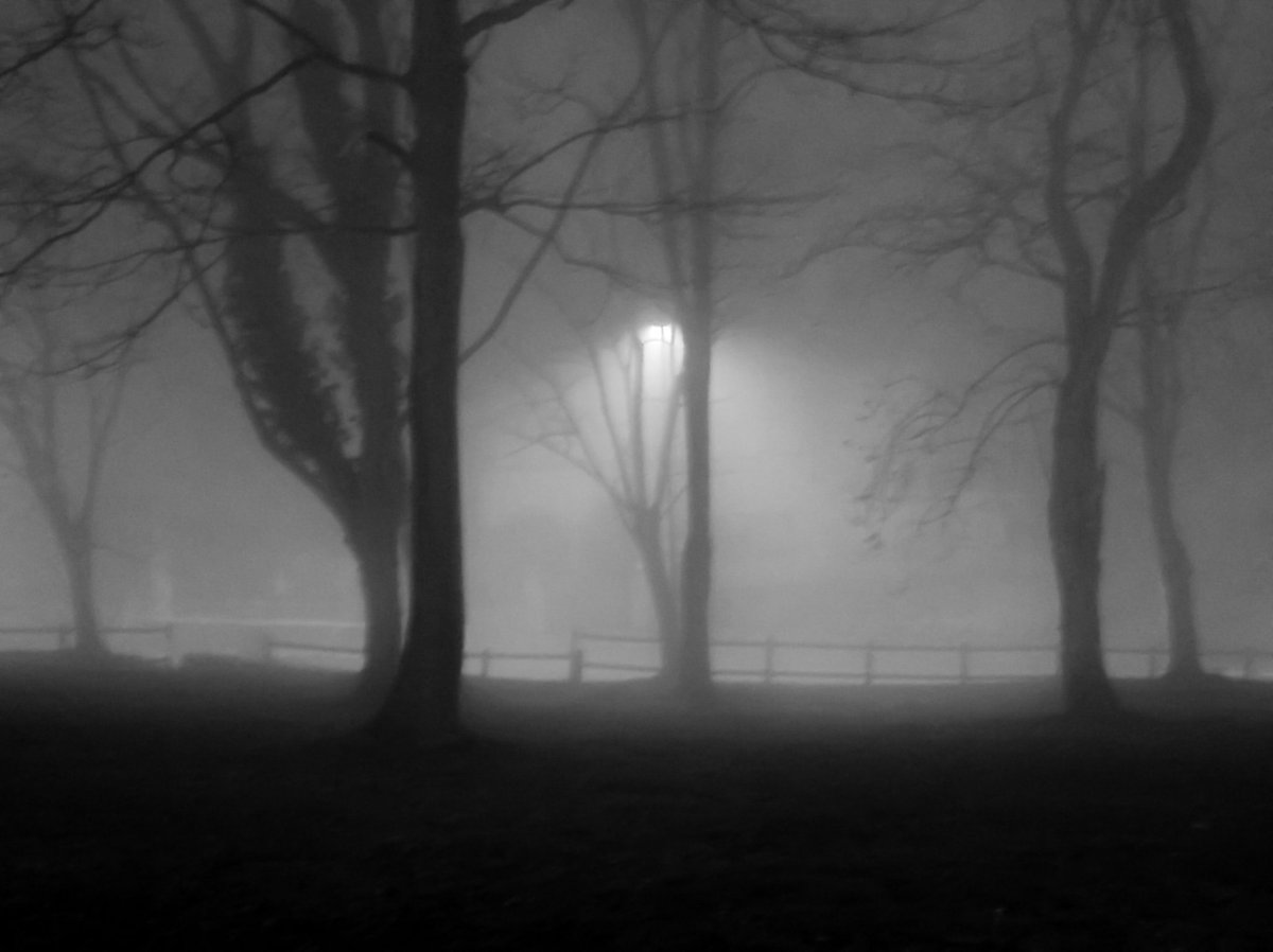 // Blackened //
#blacksabbath #blackandwhitephotography #b&w #foggyforest #fog #misty #darkness #panpikiphoto