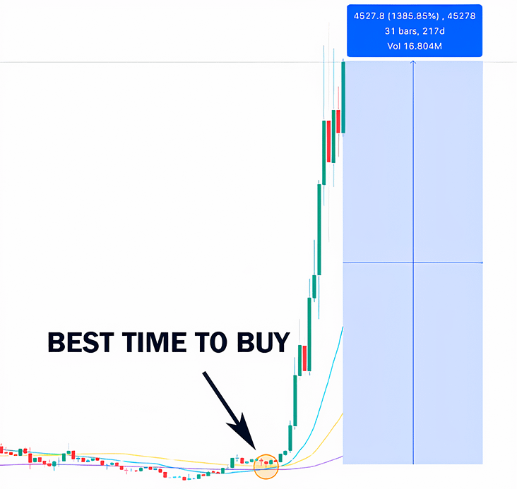 ardizor 🧙‍♂️ tweet media