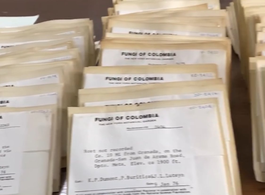 Instituto de Ciencias Naturales - UNAL (@icnunal) on Twitter photo 🍄🍄🧬🇨🇴SE BUSCA
Profesora investigadora y curadora para esta colección: el fungario del Herbario Nacional Colombiano del ICN.
Ven trabaja en la <a href="/UNALOficial/">Universidad Nacional de Colombia</a> como docente de tiempo completo en el pregrado y posgrado de Biología, mucho campo y trabajo curatorial en #COL 🍄🍄🧬🇨🇴SE BUSCA
Profesora investigadora y curadora para esta colección: el fungario del Herbario Nacional Colombiano del ICN.
Ven trabaja en la <a href="/UNALOficial/">Universidad Nacional de Colombia</a> como docente de tiempo completo en el pregrado y posgrado de Biología, mucho campo y trabajo curatorial en #COL