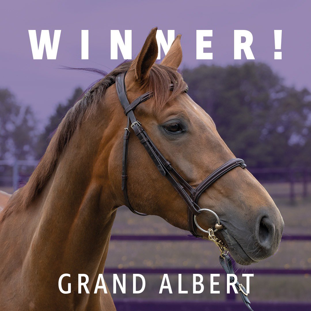 Grand Albert gets off the mark @BangorRaces for @donaldmccain Brian Hughes and his ownersgroup.co.uk owners. Lovely young horse who has improved all season 👏🏻 🏆 🥇 #grandalbert #ownersgroup
