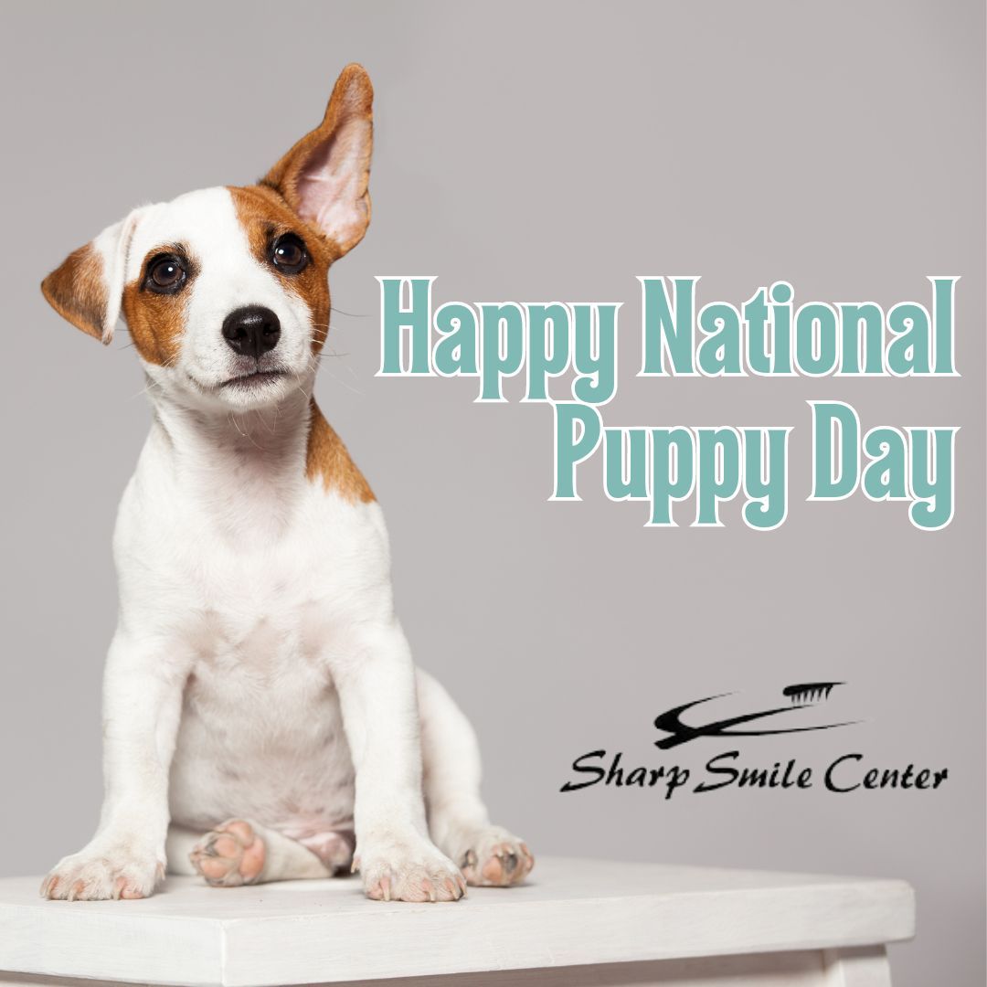 MichaelSharpDDS's tweet image. #NationalPuppyDay

National Puppy Day is a paw-some day for all dog enthusiasts to celebrate unconditional love and fawn over the undeniably cute furballs that bring so much happiness into this world. 🐾

Let’s see your sweet pups! 

 #SSC #PortageDentist #KalamazooDentist