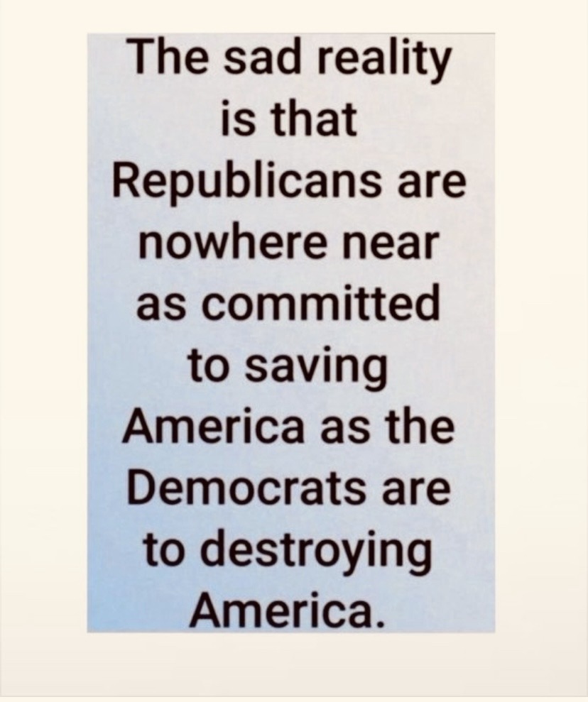 cat_barnes30's tweet image. 