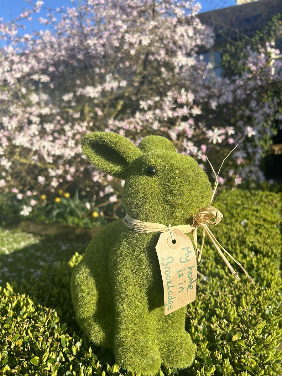 A little bit of afternoon sunshine… our bunny 🐰 is getting ready for the Easter celebrations 🐣. Join us this Easter for a break away… check out our offers online or 📞 0402-36444 #BreakAway #EasterBunny #EasterBreaks #BrookLodge #MacreddinVillage #Wicklow